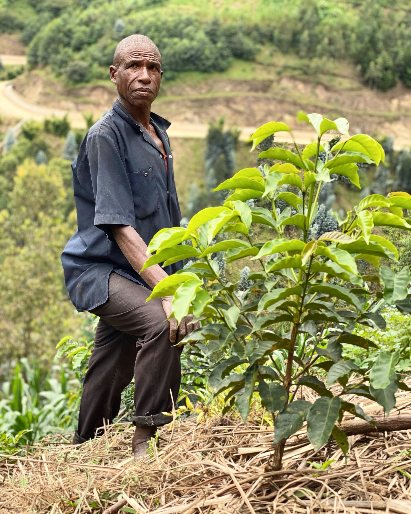 RWANDA, Kilimbi, Nyamasheke