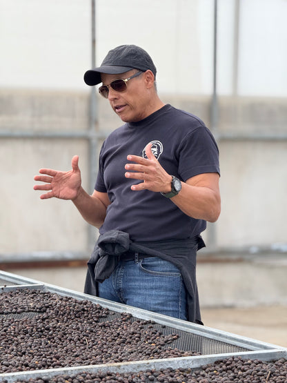 COSTA RICA, Sumava de Lourdes, Naranjo, West Valley