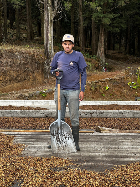 COSTA RICA, Volcancito, Valle Centrale
