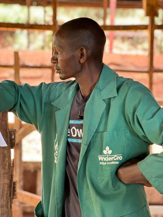 KENYA, Konyu, Kirinyanga