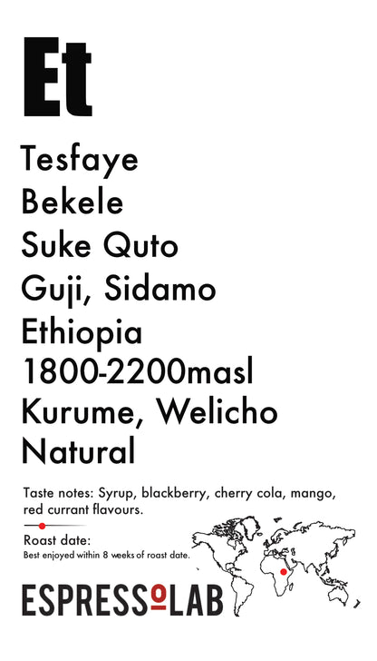 ETHIOPIA, Tesfaye Bekele, Guji, Sidamo